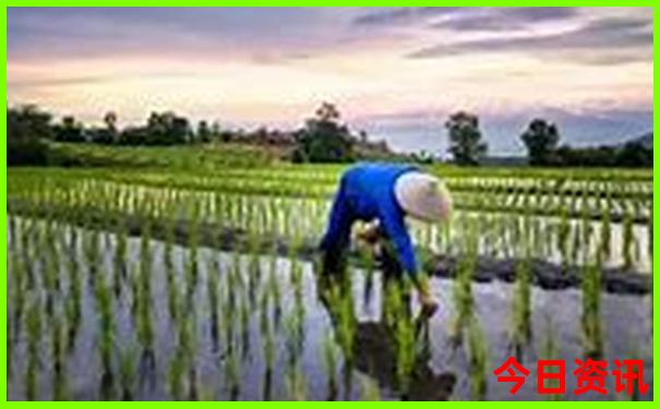 6月旅游最佳去处